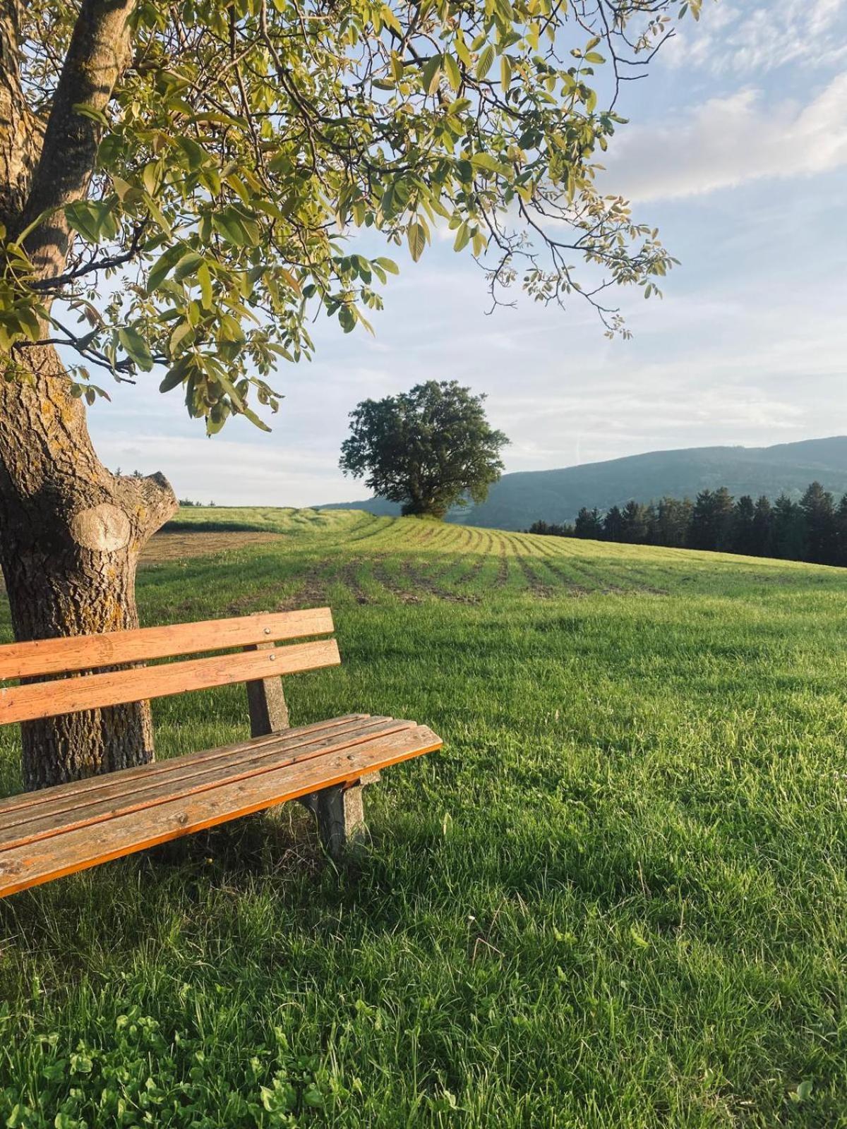 Ferienzimmer Paunger Miesenbach  Kültér fotó
